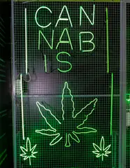 "Be Legal" by Ale Jordão, 2022, iluminação neon verde sobre painel, offered May 2022