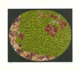 Kazuo Wakabayashi, Folhas