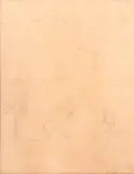 Tarsila do Amaral, Touro, Vegetação e Serra