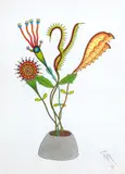 Roberto Magalhães, Flores