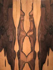 Abraham Palatnik, Progressão, 1967, jacarandá