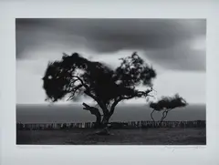 Araquém Alcântara, Trancoso - Bahia, fotografia