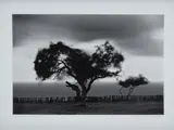 Trancoso - Bahia by Araquém Alcântara, fotografia, offered Nov 2021