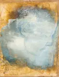 Carlos Araujo, Figura
