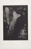 Tomie Ohtake, Abstração, 2008, gravura em metal