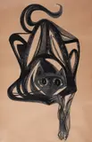 Clóvis Graciano, Gato