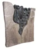 Doménico Calabrone, Sem Título
