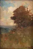 Dario Mecatti, Paisagem