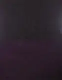 Paulo Pasta, Sem Título