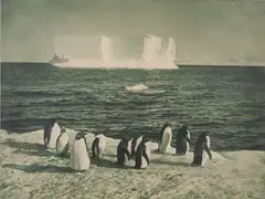Herbert Ponting, An Iceberg off Cape Royds, fotografia