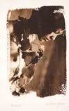 Ricardo Junqueira, S/ Título - Série Herbarium