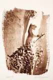 Ricardo Junqueira, S/ Título - Série Herbarium