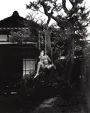 Araki Nobuyoshi, Sem Título, 1997, fotografia