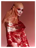 Richard Avedon, Fashion Image