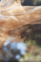 Dourado by Val Júnior, 2019, fotografia, offered May 2021