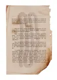 Tunga, Sem Título - Parte da instalação "Tesouros Besouros"
