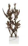 Príncipes Amazônicos by Bruno Giorgi, escultura em bronze, offered May 2021
