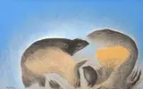 Fernando Coelho, O Homem e a Paisagem, 1989, óleo sobre tela