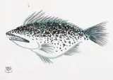 Peixe - Sumiê by Chen Kong Fang, nanquim e aquarela sobre papel, offered Mar 2021