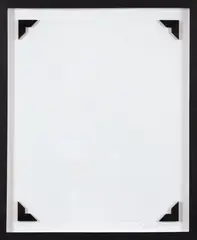 Nelson Leirner, A Câmara Clara, 2012, impressão digital em jato de tinta sobre papel de algodão, montado em pvc e acrílico