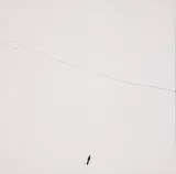 Mira Schendel, Vetor, Letra e Linhas IX