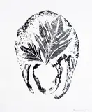 Frans Krajcberg, Folhas, 2003, xilogravura