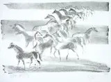 Livio Abramo, Cavalos, 1979, litogravura