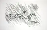 Livio Abramo, Cavalos, 1979, litogravura