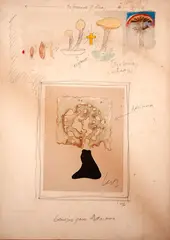 Sem Título by Wesley Duke Lee, 1976, técnica mista sobre papel, offered Nov 2020