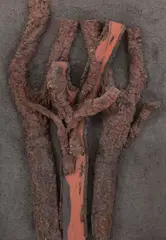Sem Título by Frans Krajcberg, 1991, escultura em madeira policromada, offered Nov 2020