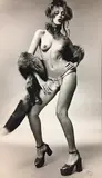 Antonio Guerreiro, Nu Com Estolas