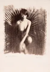Ricardo Junqueira, S/ Título - Série Herbarium, 1996, Foto marrom (van dyck) sobre papel filtro