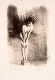 Ricardo Junqueira, S/ Título - Série Herbarium