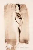 Ricardo Junqueira, S/Título - Série Herbarium
