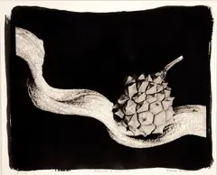 Araticum e Cipó by Marcelo Lerner, 1994, fotografia, offered Oct 2020