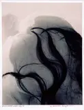 Masaaki Nakagawa, Illusion 1981/86