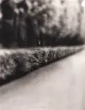 Tuca Reinés, Paisagem