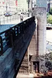 Sônia Schuitek, Detalhe do Chá, 2000, fotografia