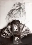 Christian Bérard, Composição de Imagens e Objetos da Coleção Braive