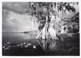 Clyde Butcher, Lake Istokpoga #4