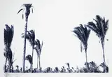 Fabio Cabral, S/ Título - Série Impressões do Maranhão, 2002, fotografia