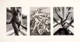 Lucien Clergue, La Chute des Anges