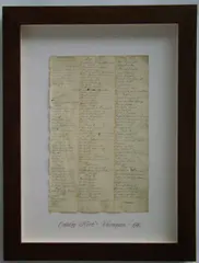 Thompson, Herbário, manuscrito e colagem sobre papel