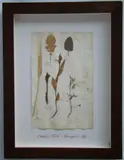 Herbário by Thompson, manuscrito e colagem sobre papel, offered Oct 2020