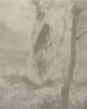 Spring by George Henry Seeley, 1909, Fotogravura sobre papel, offered Sep 2020