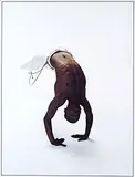 David De Souza, Capoeira, Foto cor sobre papel