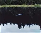Nils-Udo, Baghette de Bleuets, 1993, Foto cor sobre papel