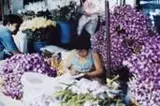 Rui Mendes, Mercado de flores 1, 2001, Foto cor sobre papel