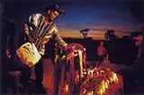 Albani Ramos, Boi Jardim da Ilha, 2004, Foto cor sobre papel