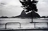 Tuca Reinés, Rio